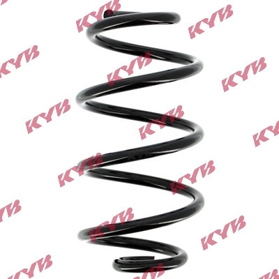 RG5013 KYB
