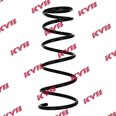 RI5029 KYB